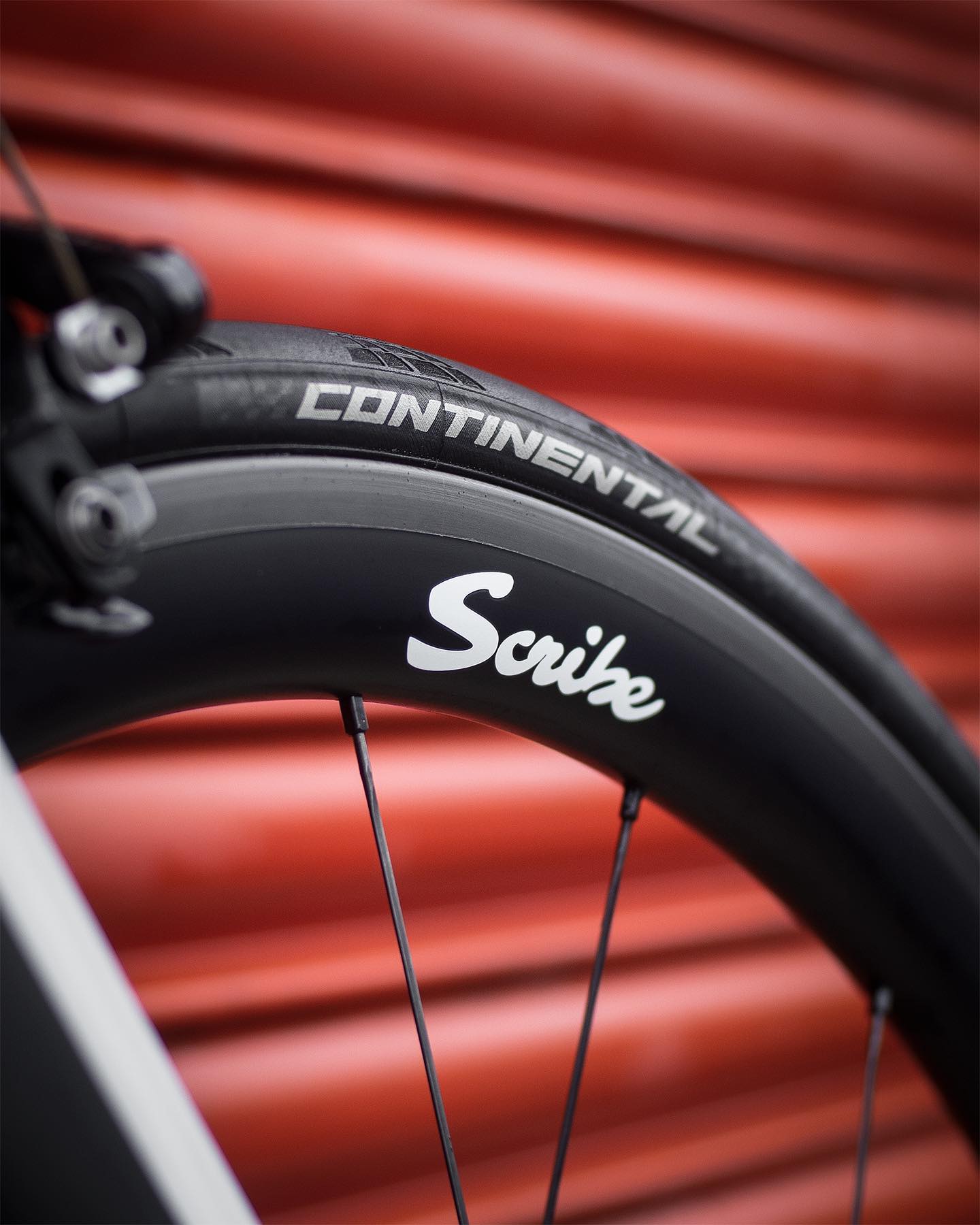 Hutchinson Fusion 5 Performance TR (2 Tyres) – Scribe Cycling